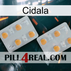 Cidala 25